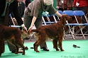 Crufts2011 298